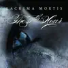 The 11th Hour - Lacrima Mortis